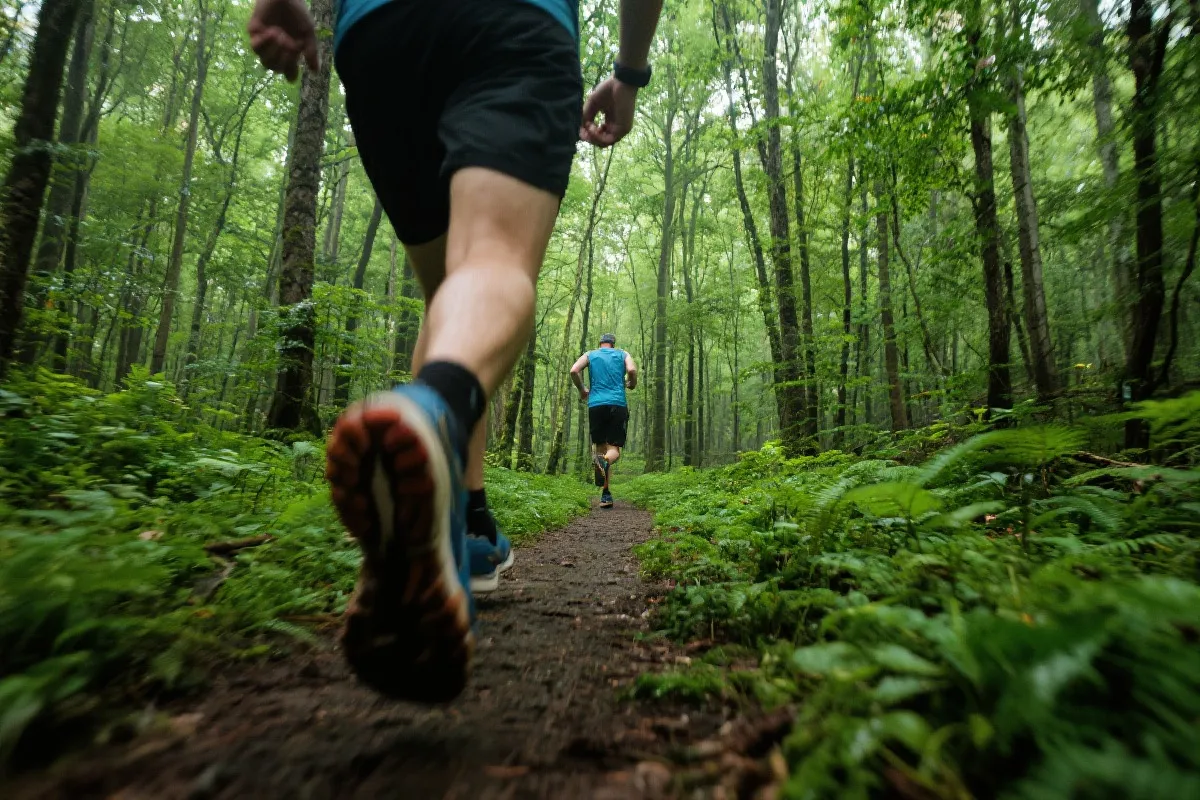 户外探索场景示意图